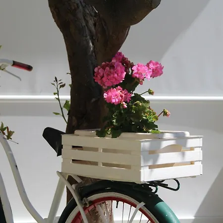 Πανσιόν Don Francisco - 3*