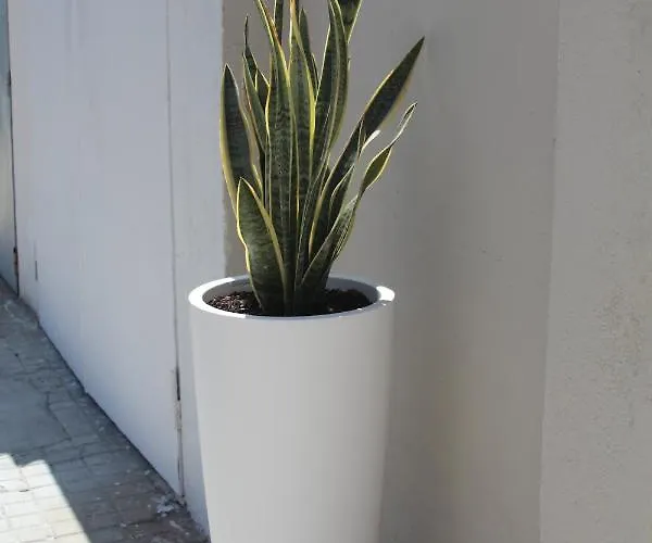 Pensionat Don Francisco - Tropea