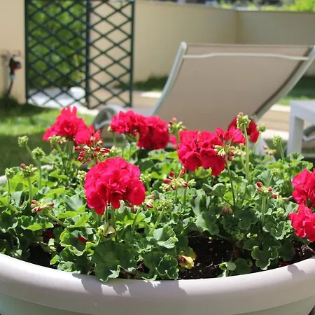 招待所 Don Francisco - 特罗佩阿