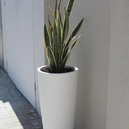 Konukevi Don Francisco - Tropea