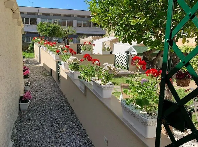 Don Francisco - Pensionat 3*