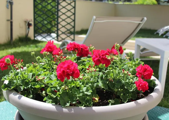 בית הארחה Don Francisco - טרופאה