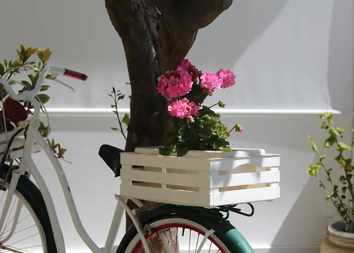 Pensionat Don Francisco - 3*